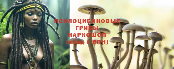 прущие крисы Беломорск