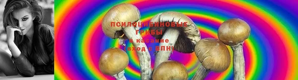 винт Горняк