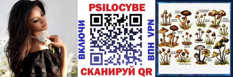 mega ССЫЛКА Гаврилов-Ям Галлюциногенные грибы Psilocybe