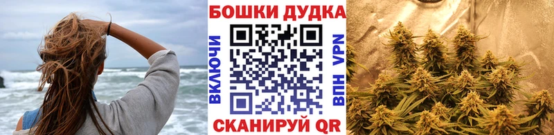 как найти наркотики Гаврилов-Ям Бошки марихуана THC 21%